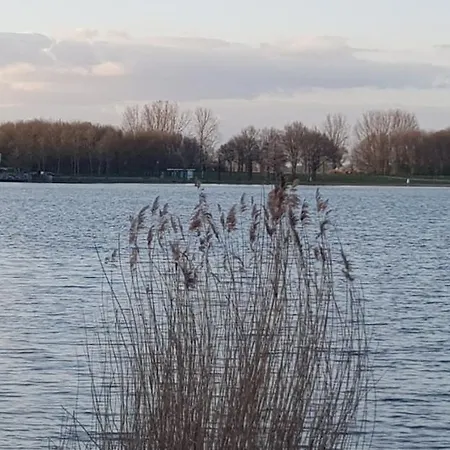 Vakantiewoning Maas En Waal Ewijk